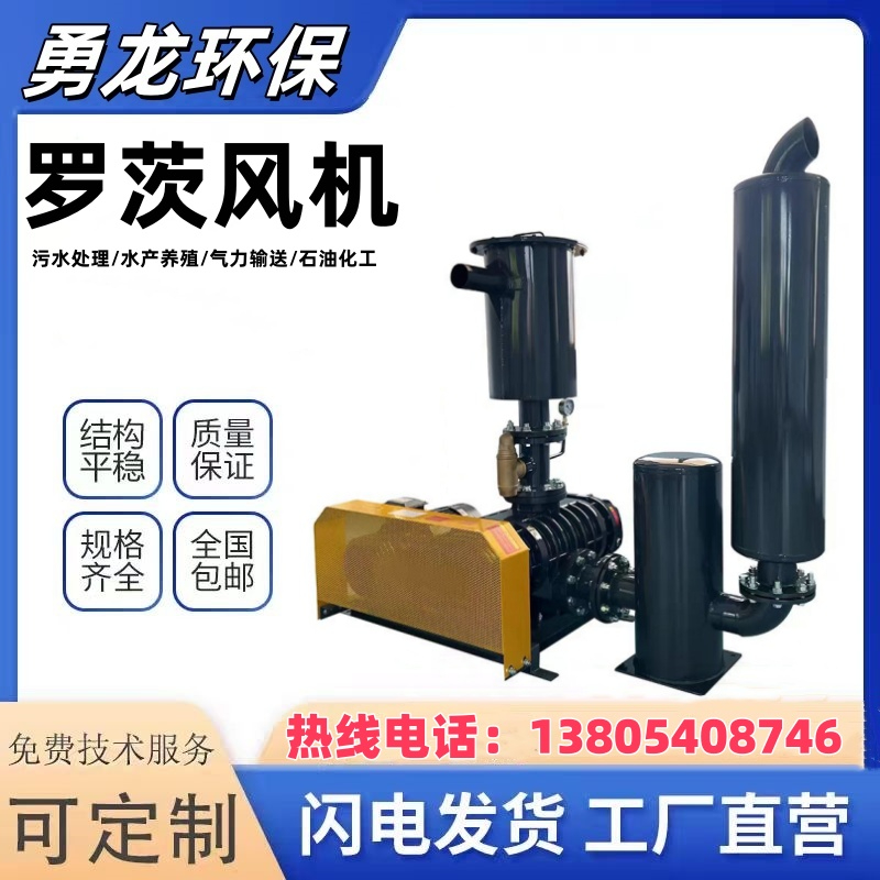 負壓羅茨真空泵工作原理